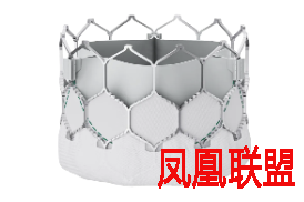 如何通过植载生命技术有效介入未来发展？